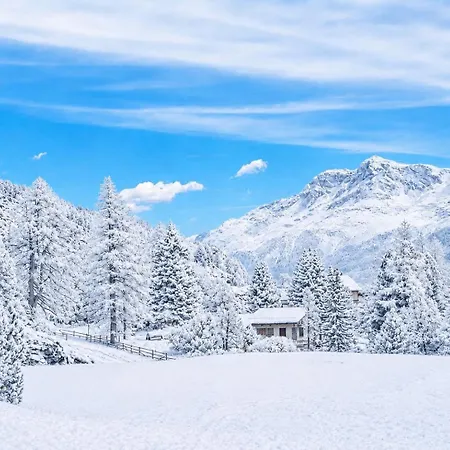 Bijou Alpina Near St Moritz & Sils Maloja