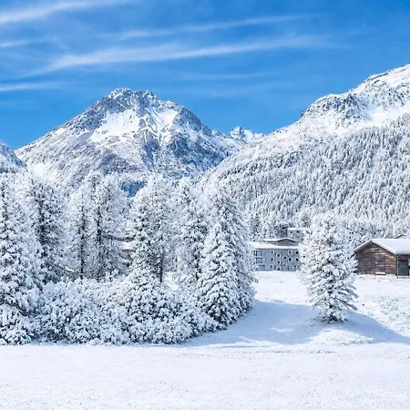 Apartment Bijou Alpina Near St Moritz & Sils *