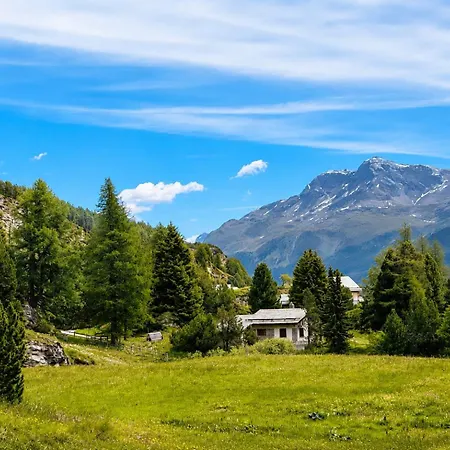 Bijou Alpina Near St Moritz & Sils *