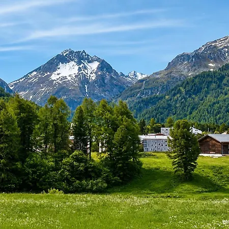 Bijou Alpina Near St Moritz & Sils Apartment Maloja