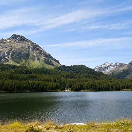Apartment Bijou Alpina Near St Moritz & Sils *